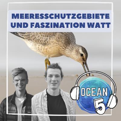 Ocean Five x Frutti di Mare: Meeresschutzgebiete und Faszination Watt