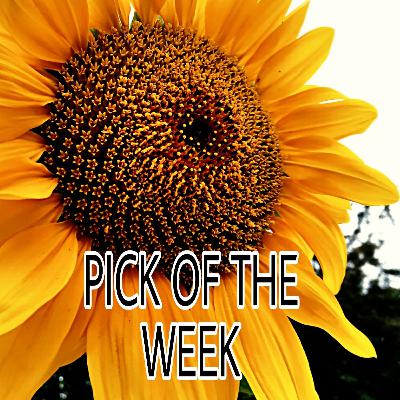 #2 P.O.W Pick of the Week. SMOKESCREENS OF THE ENEMY #2 P.O.W Pick of the Week. SMOKESCREENS OF THE ENEMY