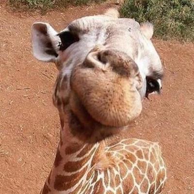 Ep. 9.2 — o que é brega? (parte 2) Ep. 9.2 — o que é brega? (parte 2)