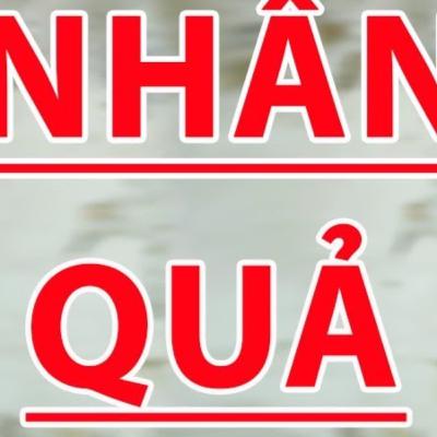NHÂN QUẢ - Truyện dựa 80% trên một câu chuyện kể có thật - Truyện Hay 3S