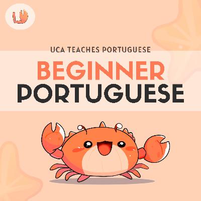 Sneak Peek: 100 Questions & Answers for A1–B2 Portuguese Learners