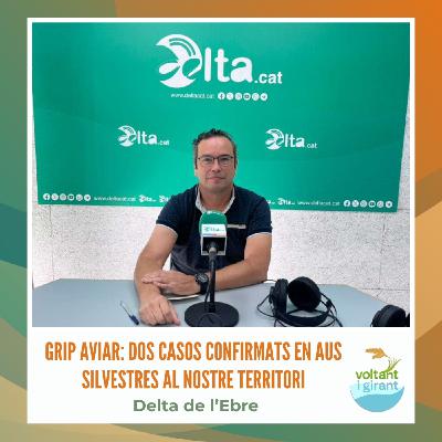 Grip aviar: dos casos confirmats en aus silvestres al nostre territori Grip aviar: dos casos confirmats en aus silvestres al nostre territori