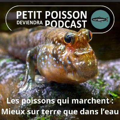 S05E08 Les Poissons marcheurs