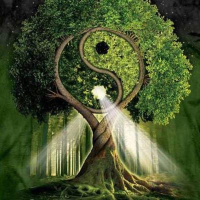 The World’s Religions: Taoism