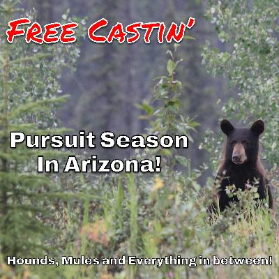 Pursuit season for Bear in Arizona! Pursuit season for Bear in Arizona!