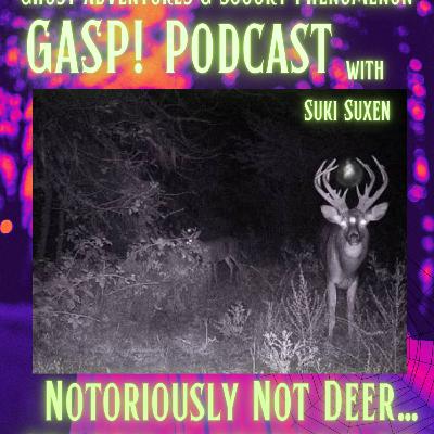 S3E25 • Notoriously Not Deer...