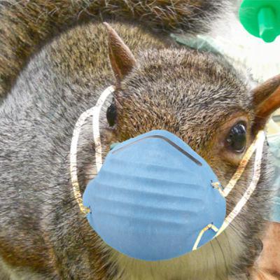 Coronavirus Special Report!