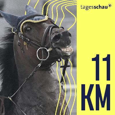 Auf dem Rücken der Pferde - Tierquälerei im Reitsport