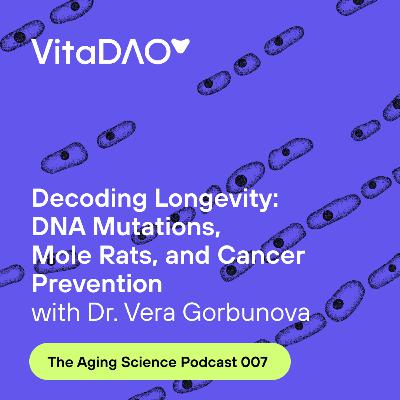 Decoding Longevity: DNA Mutations, Mole Rats, and Cancer Prevention with Prof. Vera Gorbunova on The Aging Science Podcast by VitaDAO
