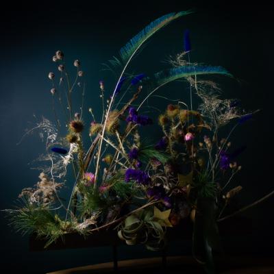 WebFloraPolska #polskipodcast #florystyka #osty #flowermobile #facebook #instagram WebFloraPolska #polskipodcast #florystyka #osty #flowermobile #facebook #instagram