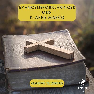 Evangelieforklaringer med pater Arne Marco: Evangelieforklaringer | Apostelen Paulus' omvendelse, lørdag