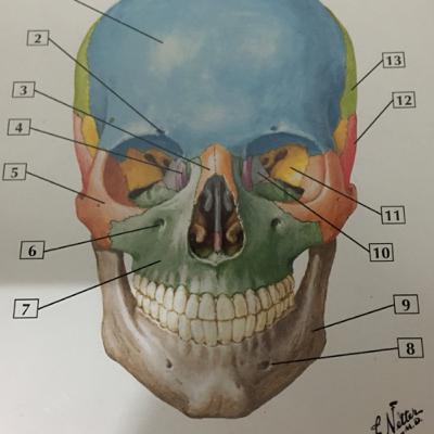 El piloto de “FASF Medical Dr.”