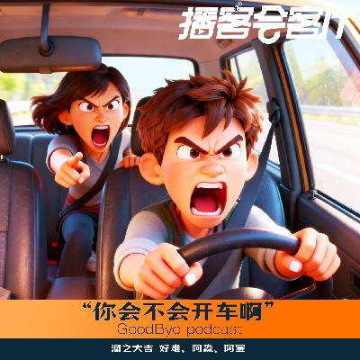 【64】你会不会开车啊！交通大吐槽