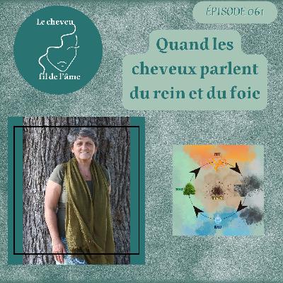 Quand les cheveux parlent du rein et du foie