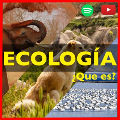 ECOLOGÍA en pocas palabras ¿Que es? | Lista ecológica 🌱 | Un dato de color ECOLOGÍA en pocas palabras ¿Que es? | Lista ecológica 🌱 | Un dato de color