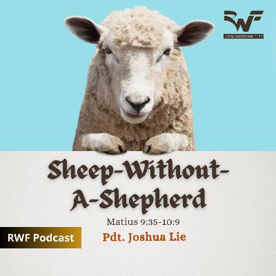 Sheep-Without-A-Shepherd (Pdt. Joshua Lie)
