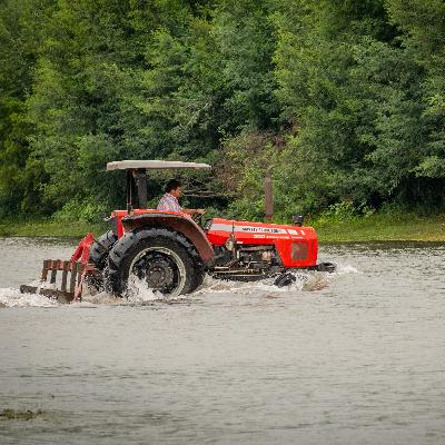 Capítulo 1 - Piloto Capítulo 1 - Piloto
