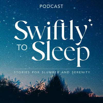 Holiday Announcement from the Swiftly Team Holiday Announcement from the Swiftly Team