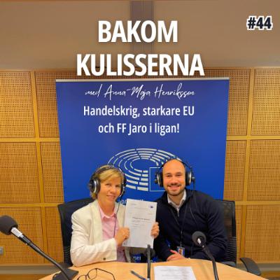 Mindre byråkrati, bättre konkurrenskraft - Bakom kulisserna med Anna-Maja Henriksson #44