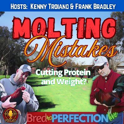 Ep260 - Managing the Molt: The Costly Mistake of Cutting Protein and Weight
