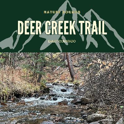 Deer Creek Trail Nature Sounds - Bailey Colorado