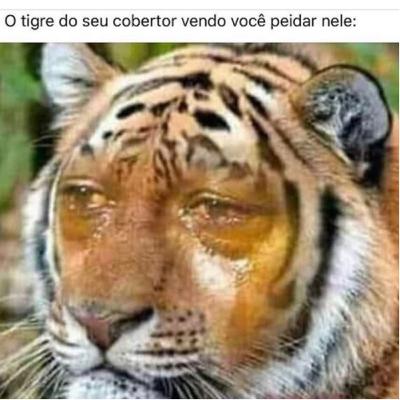 eiekekkee
