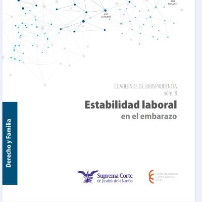Estabilidad Laboral en el empleo (embarazo) Estabilidad Laboral en el empleo (embarazo)