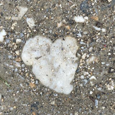 In Hingabe… teile ich mit dir… was mich gerade beschäftigt 💕 In Hingabe… teile ich mit dir… was mich gerade beschäftigt 💕