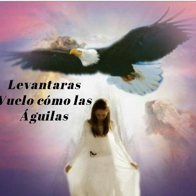 Levantaras Vuelo cómo las Águilas