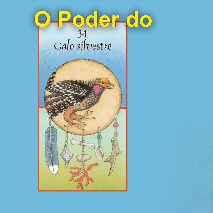 As Cartas Xamânicas, os Animais e seu Poder- O Galo Silvestre