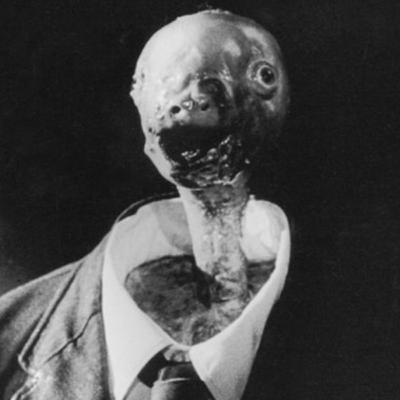 Un año sin David Lynch