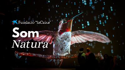 CaixaForum i CosmoCaixa estrenen temporada amb natura i art