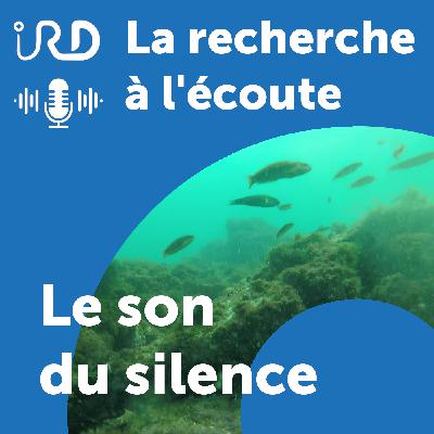 Le son du silence Le son du silence