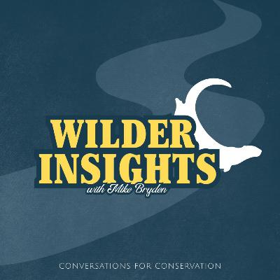 What's next for Wilder Insights | End of Season 01
