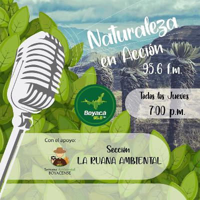 T2-Ep 2 - Hablemos de cambio climático y conservación de la capa de ozono