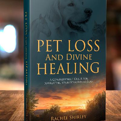 Love Letter for Those Who had to Euthanasia Due to Behavioral Issues