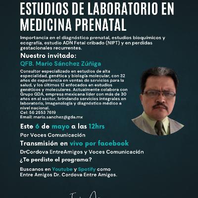 Estudios de Laboratorio en Medicina Prenatal Estudios de Laboratorio en Medicina Prenatal