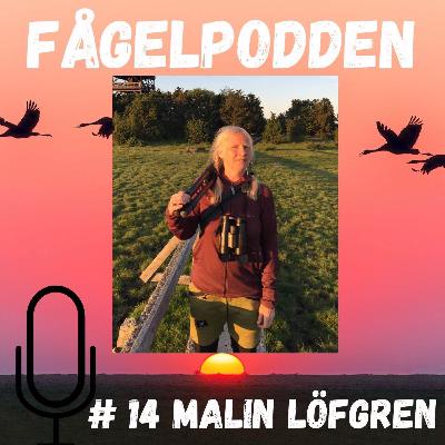 Malin Löfgren