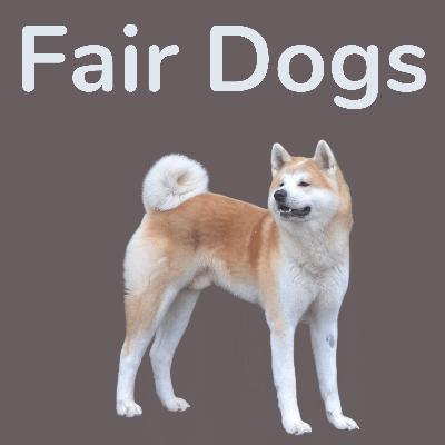 5. Anja Meier über sture Hunde 5. Anja Meier über sture Hunde