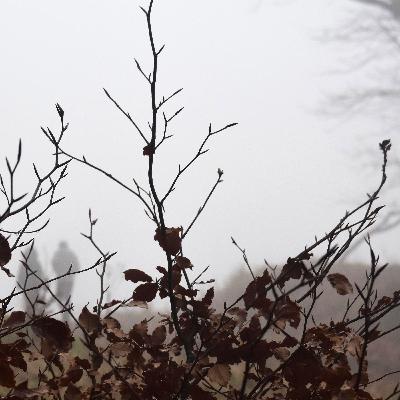 Vanished Without a Trace: The World’s Most Baffling Disappearances: Vanished Without a Trace: The World’s Most Baffling Disappearances: