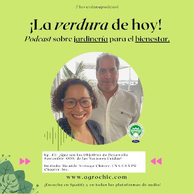 E.43 - ¿Quieres construir un mundo mejor? Aquí te explicamos cómo con los Objetivos de Desarrollo Sostenible (ODS) como guía podrías lograrlo..