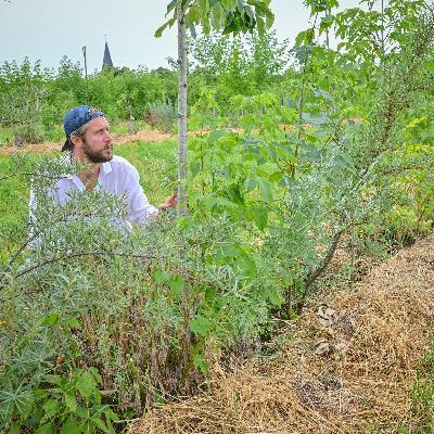 Ackerbau im Klimawandel - In Brandenburg werden Felder zum Labor der Zukunft Ackerbau im Klimawandel - In Brandenburg werden Felder zum Labor der Zukunft