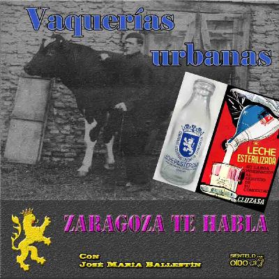 Zaragoza te habla - Vaquerías urbanas