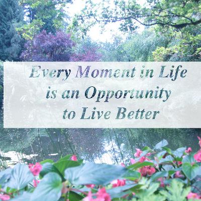 Every Moment in Life is an Opportunity to Live Better Every Moment in Life is an Opportunity to Live Better