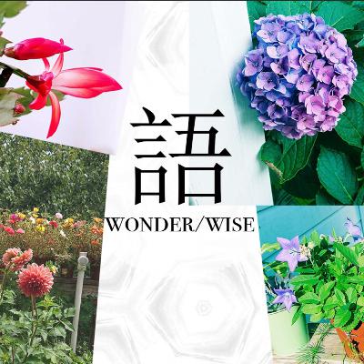【做事侠03】在美留学胡博士，用主体性超越单向度