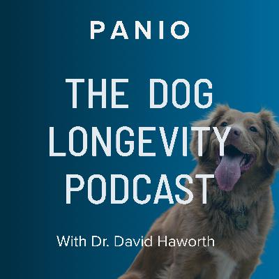 The Human-Dog Bond Explained: How It Impacts Dog Health and Longevity The Human-Dog Bond Explained: How It Impacts Dog Health and Longevity
