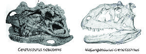 Episode 25 – Ceratosaurs: Story of a Predatory Dinosaur Dynasty!