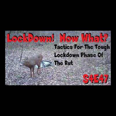 Lockdown now what? Tactics for Success S4E47