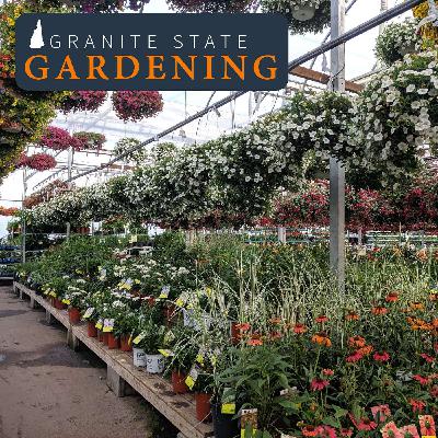 The Time to Plant: Garden Center Shopping Tips for Memorial Day Weekend