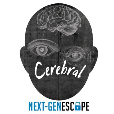 016 | CEREBRAL 016 | CEREBRAL